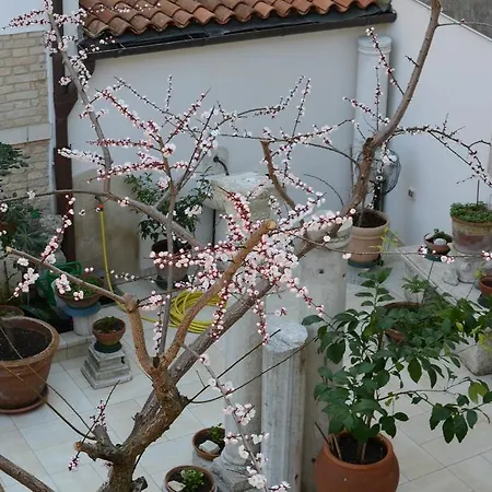 Alloggi Barbaria Venedig