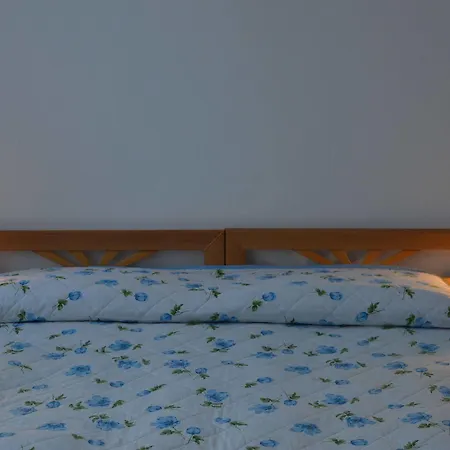 Guest house Alloggi Barbaria Venice
